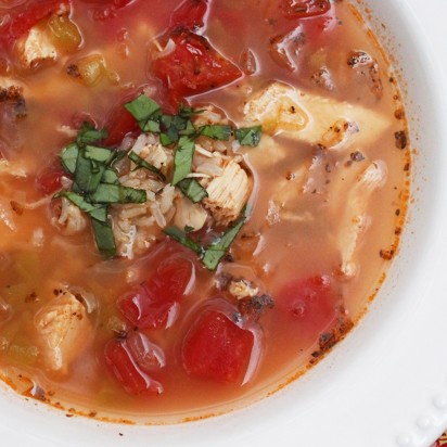 Salsa chicken and rice soup