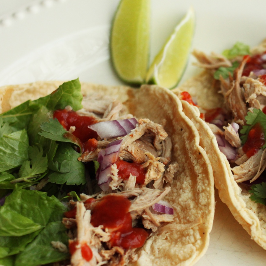 Shredded Pork Tacos