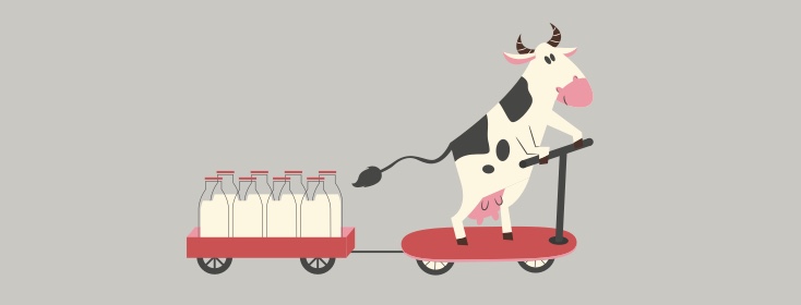 A cow riding on a scooter and towing many bottles of milk