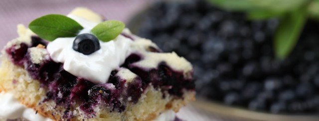 Blueberry and Peanut Butter Squares image