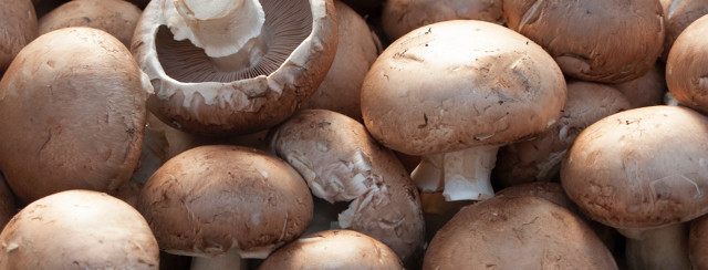 Cheesy Portobello Mushrooms image