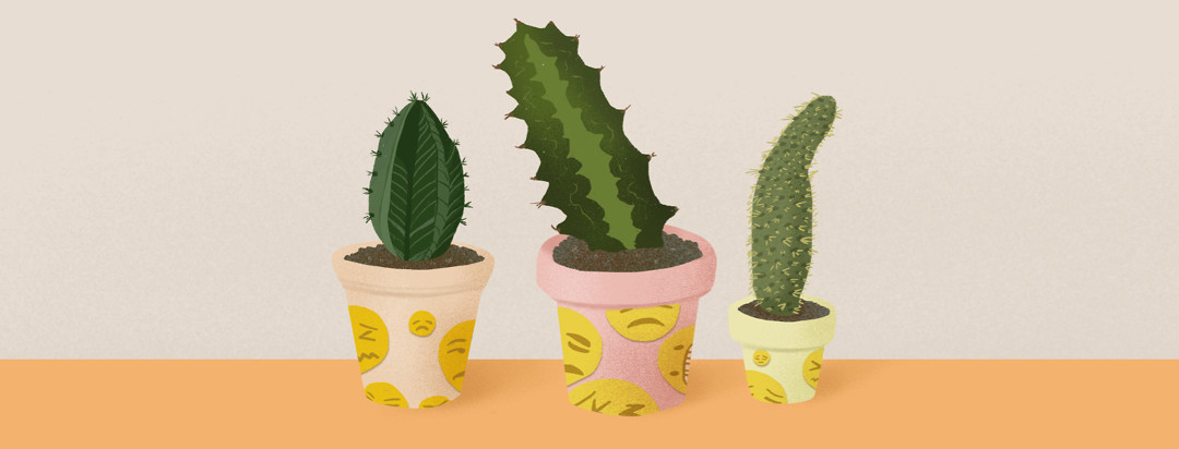 Three cacti of varying sizes in flower pots with upset, frustrated emoji decorations