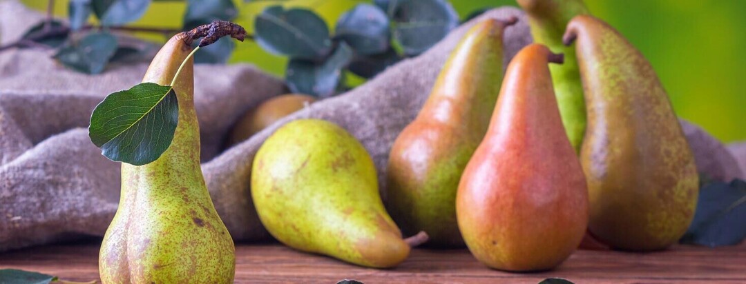 Pears on a table