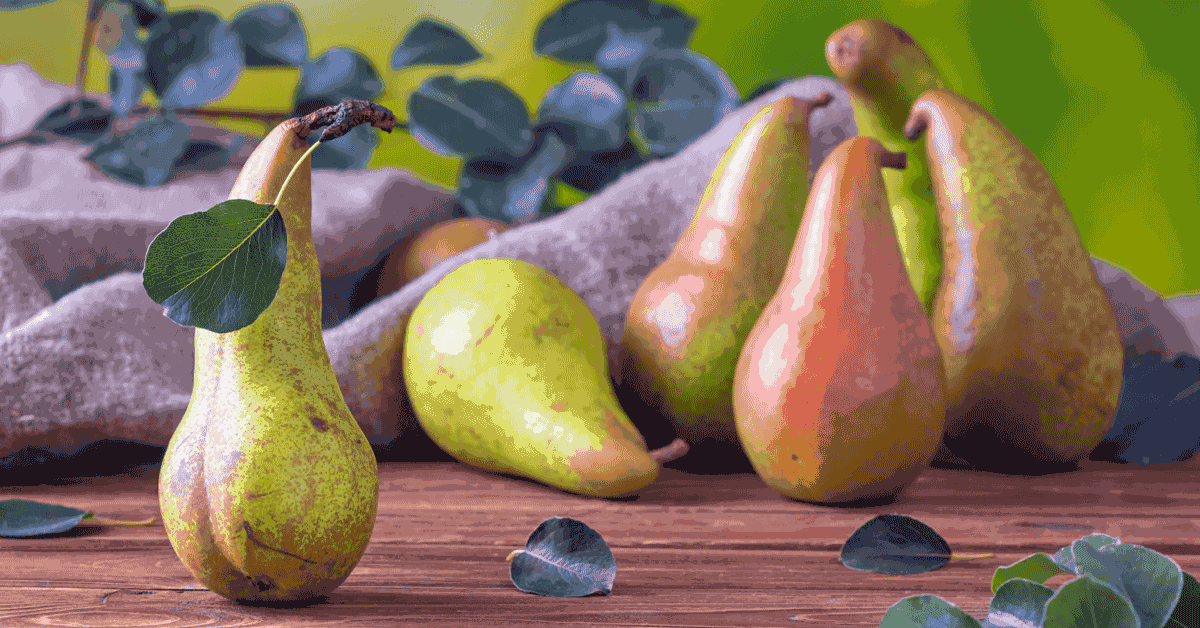 Sweet and Nutty Pears Recipe
