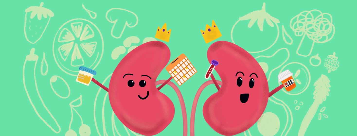 Two kidneys being treated like royalty holding their medications, yearly tests, and keeping up with their appointments.