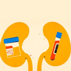 CKD and the Kidney Tests Every Person With Diabetes Should Get image