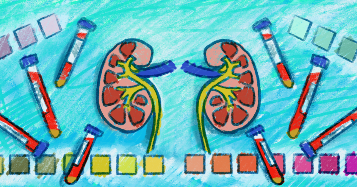 How to Understand Your Kidney Lab Values