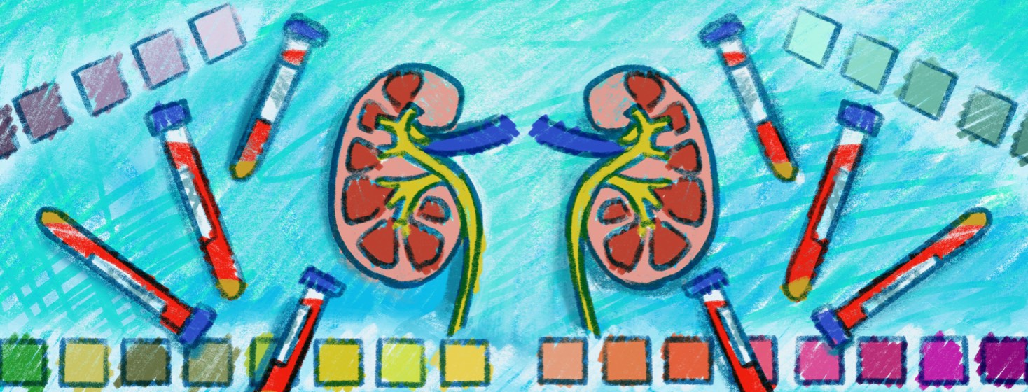 A pair of kidneys surrounded by blood vials and lines of colored squares.