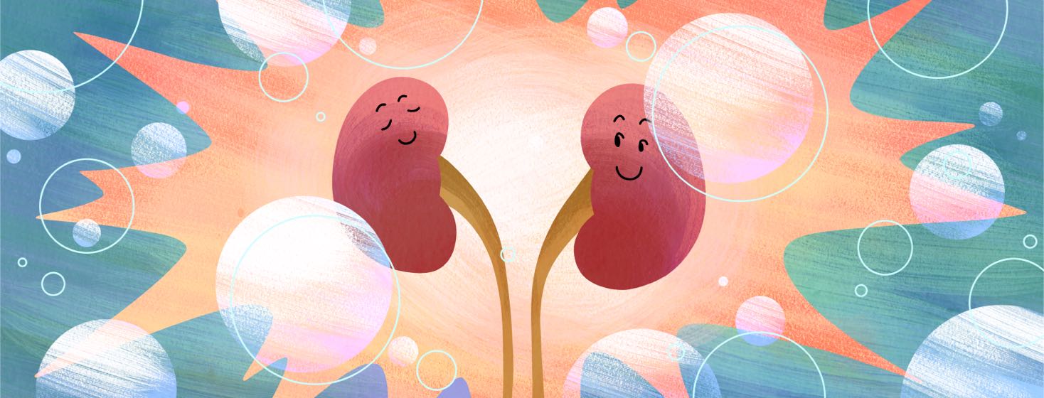 Prevention and Management of Chronic Kidney Disease image