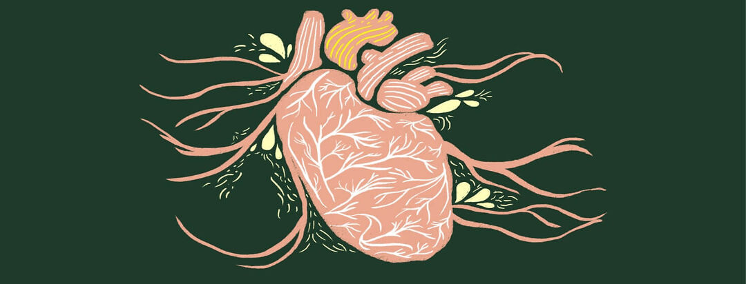 Anatomical heart with plant textures.